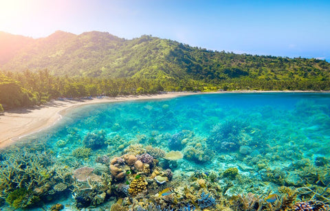 Gambar 5 Alasan Mengunjungi Lombok untuk Bulan Madu
