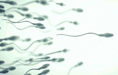 Gambar 6 Mitos Soal Sperma Ini Ternyata Banyak Dipercaya Orang