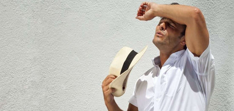 Gambar 8 Tips Grooming Untuk Musim Panas