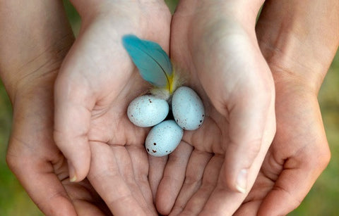 Gambar Tingkatkan Kesuburan Wanita dengan Nature's Health Ultra Noni