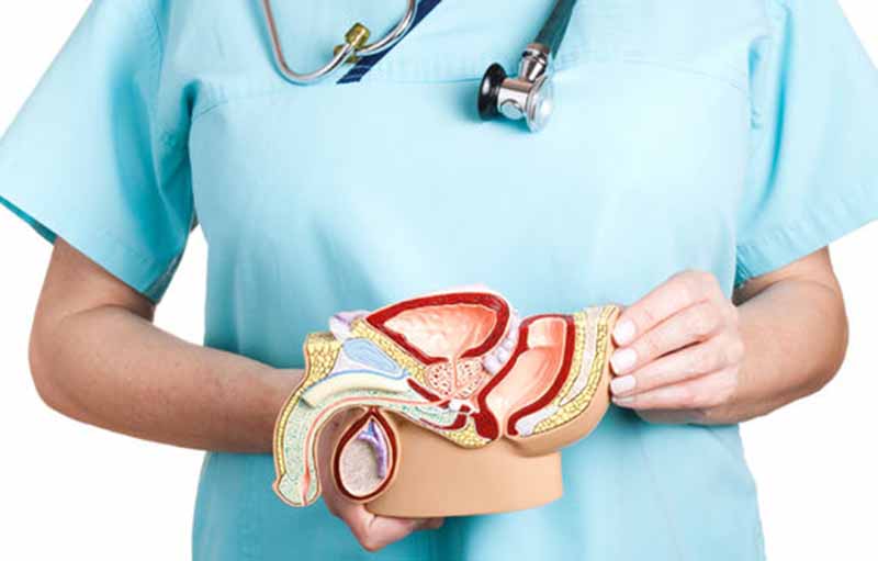 19 Tips dan Trik Paling Ampuh untuk Menjaga Kesehatan Prostat