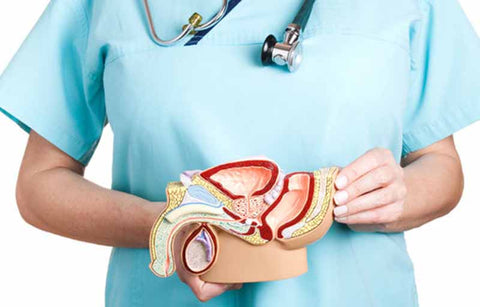 Gambar 19 Tips dan Trik Paling Ampuh untuk Menjaga Kesehatan Prostat