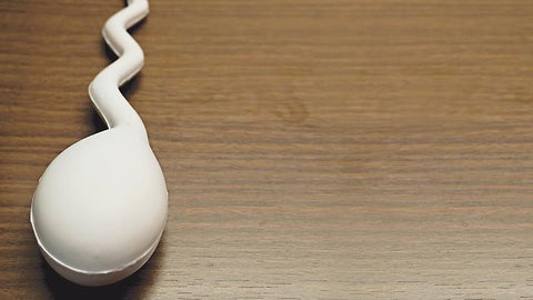 Gambar 10 Cara Meningkatkan Kualitas Sperma Secara Alami