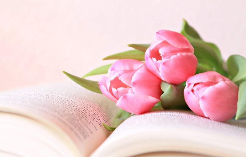 5 Jenis Bunga Terbaik untuk Kado Valentine