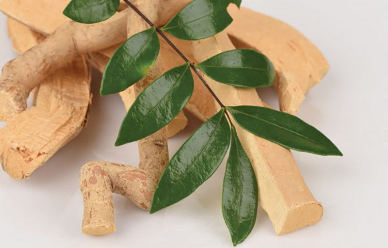 5 Manfaat Pasak Bumi untuk Pria