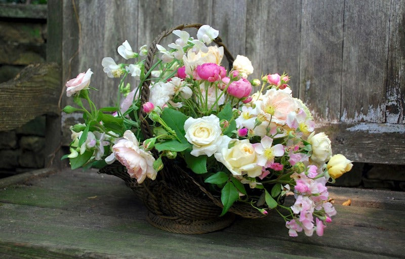 6 Cara Buat Ruangan Lebih Cantik dengan Bunga Keranjang