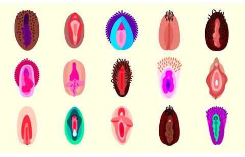 Gambar 6 Jenis Aroma Berbeda dari Miss V dan Penyebabnya