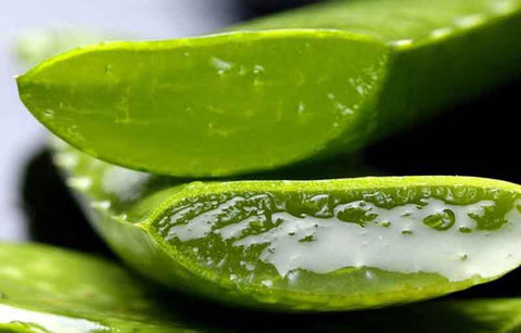 Gambar 7 Manfaat Aloe Vera Gel untuk Kulit