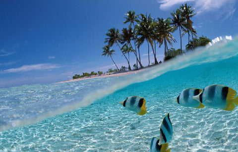 Gambar 7 Surga Bulan Madu di Indonesia