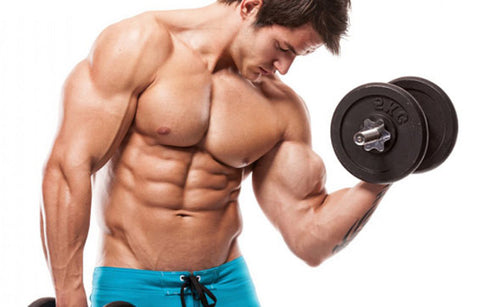 Gambar 8 Cara Membentuk Otot Lengan yang Terbukti Secara Ilmiah
