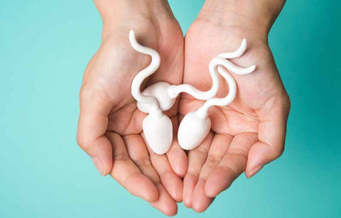 Gambar Ada Darah dalam Sperma Anda, Waduh... Apa Artinya, Ya?