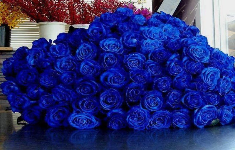 Arti Bunga Mawar Biru