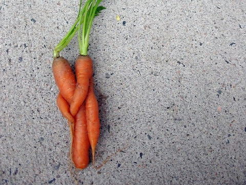 Gambar Atasi Impotensi dengan Diet Vegan