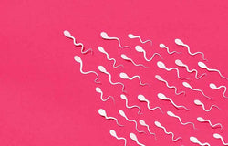 Bagaimana Sebetulnya Rasa Air Mani?