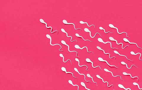 Gambar Bagaimana Sebetulnya Rasa Air Mani?