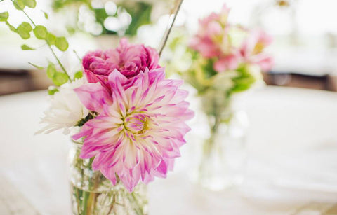 Gambar Berikan Si Dia Jenis Bunga yang Tepat Sesuai Zodiaknya