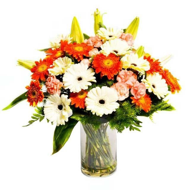 Arti Bunga Gerbera