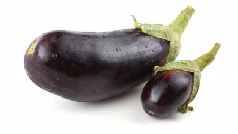 Fakta Tentang Ukuran Penis Kecil