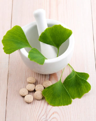 Gambar Ginkgo Biloba, Bahan Obat Kuat Pria Alami Dari Cina