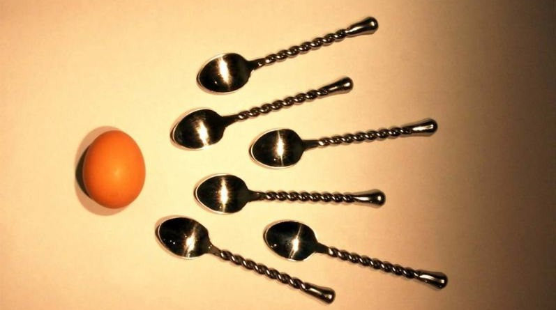 Fakta Menarik Seputar Sel Sperma