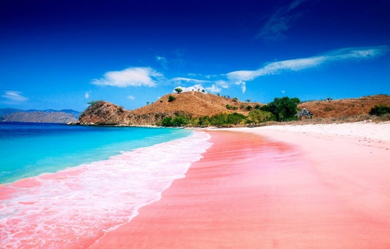 Honeymoon Murah ke Lombok? Ikuti 5 Tips Ini!