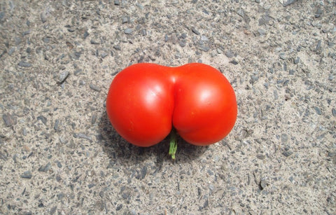 Gambar Ingin Coba Anal Seks? Perhatikan 6 Hal Ini!