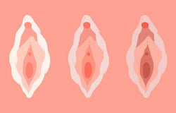 Ladies, 11 Hal Tentang Miss V Ini SANGAT Penting Untuk Anda Ketahui!