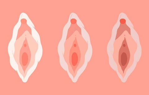 Gambar Ladies, 11 Hal Tentang Miss V Ini SANGAT Penting Untuk Anda Ketahui!