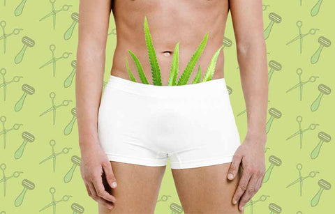 Gambar Mengapa 93% Wanita Memilih Pria yang Merawat Daerah Intimnya?