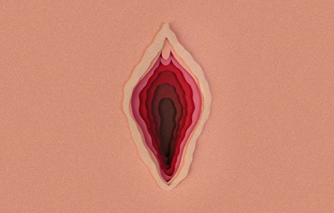 Gambar Miss V Bengkak? Kenali Penyebab dan Penanganannya Segera!