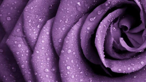 Gambar Mitos Selaput Dara dan Tes Keperawanan