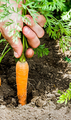Gambar Senggama Terputus untuk Mencegah Kehamilan? Ini Mitos & Faktanya