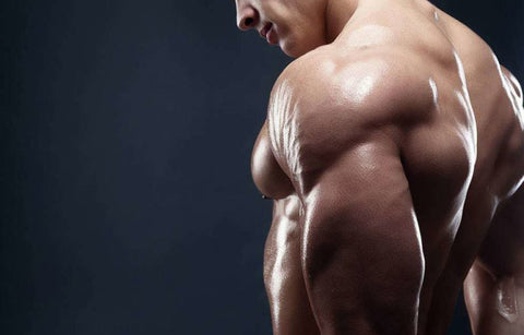 Gambar Raih Vitalitas dan Gairah Pria Perkasa dengan Tongkat Ali