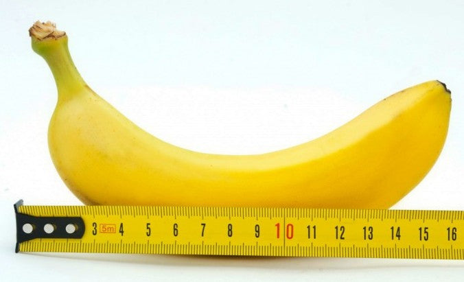 Inilah Bukti Bahwa Ukuran Penis Bukan Segalanya