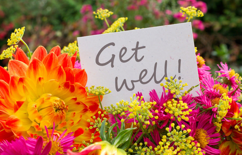 Tips Memilih Get Well Soon Flower