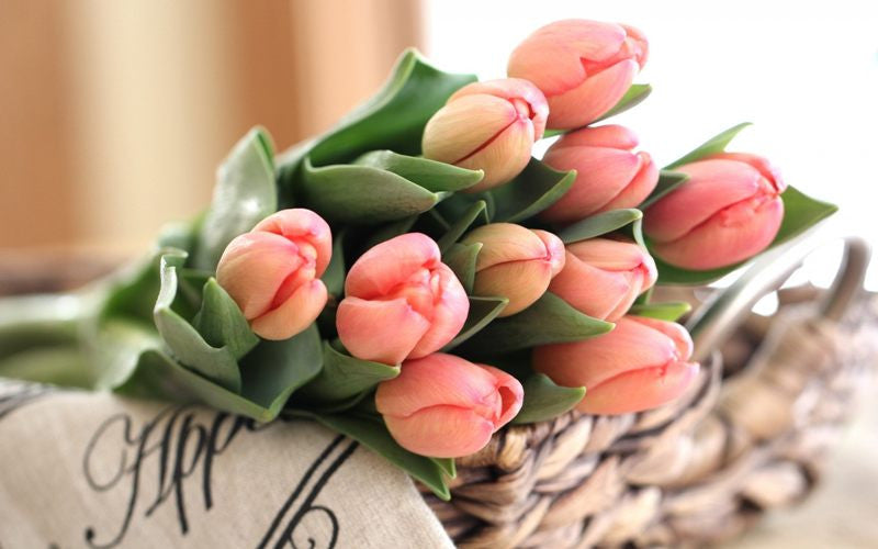 Trik Cantik Merangkai Bunga Tulip Dalam Vas