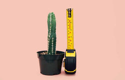 Ukuran Kondom, Apakah Penting?