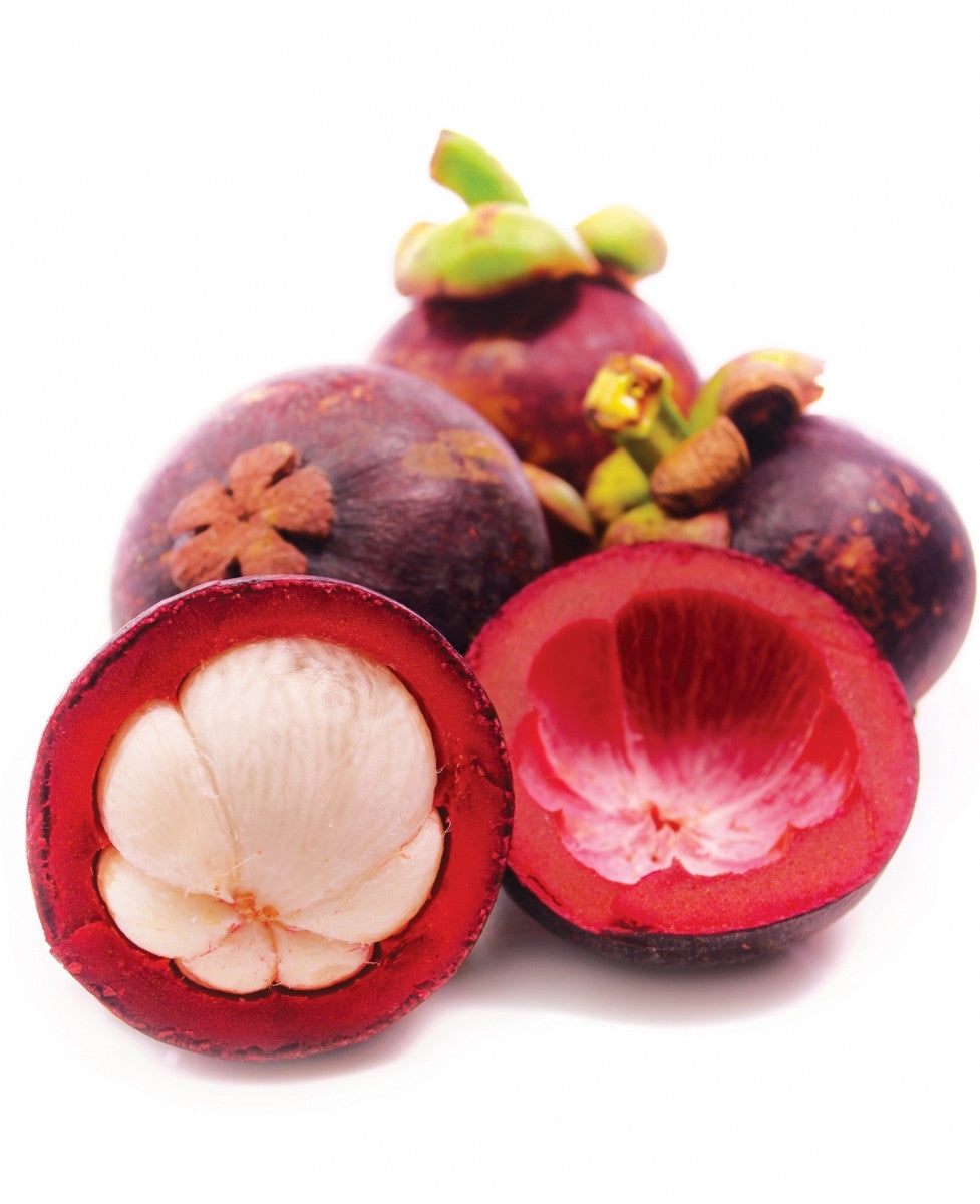 Manfaat Manggis Untuk Diet Sehat