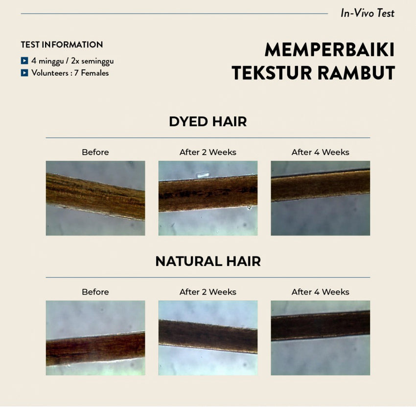 Gambar Eucalie Organic Hair & Scalp Treatment Oil Power 10+ - 45 mL Perawatan Rambut
