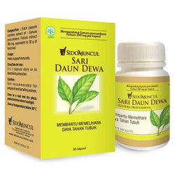 Gambar Sidomuncul Herbal Sari Daun Dewa - 30 Kapsul Suplemen Kesehatan