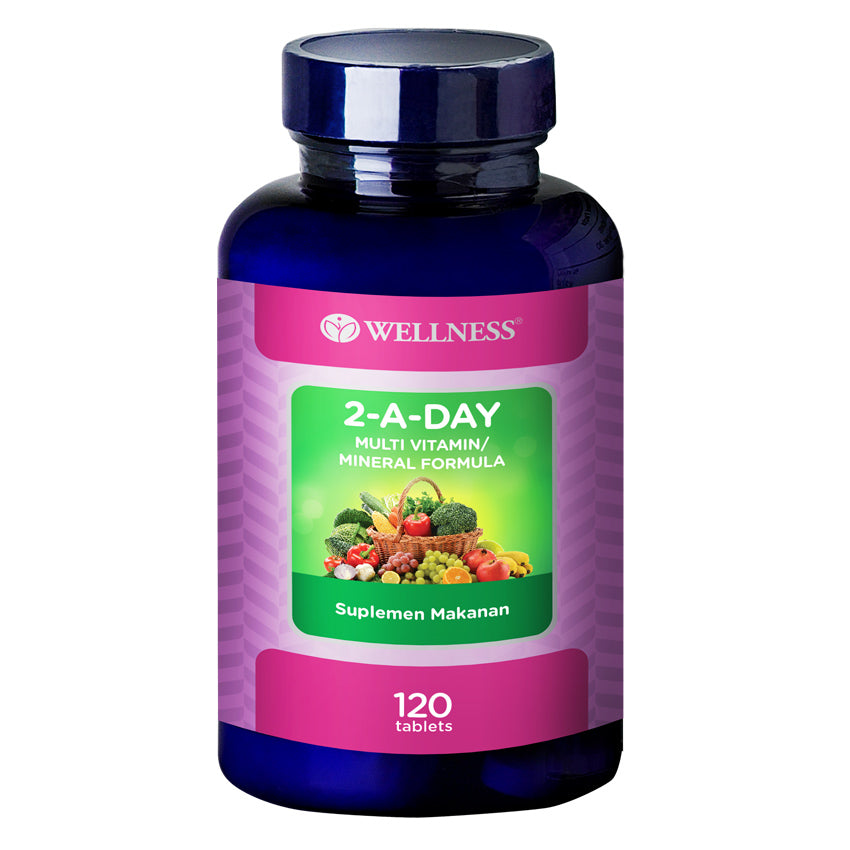 Wellness Multivitamin/Mineral 2-A-Day - 120 Tablet